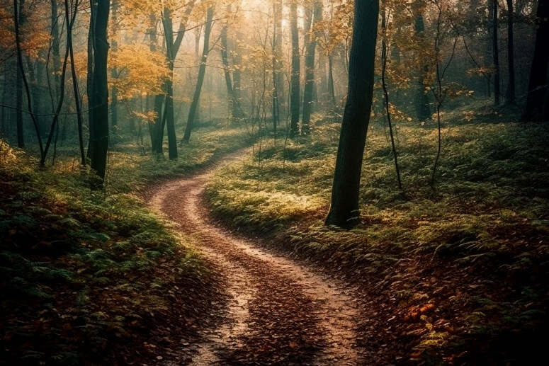 the narrow way beep
